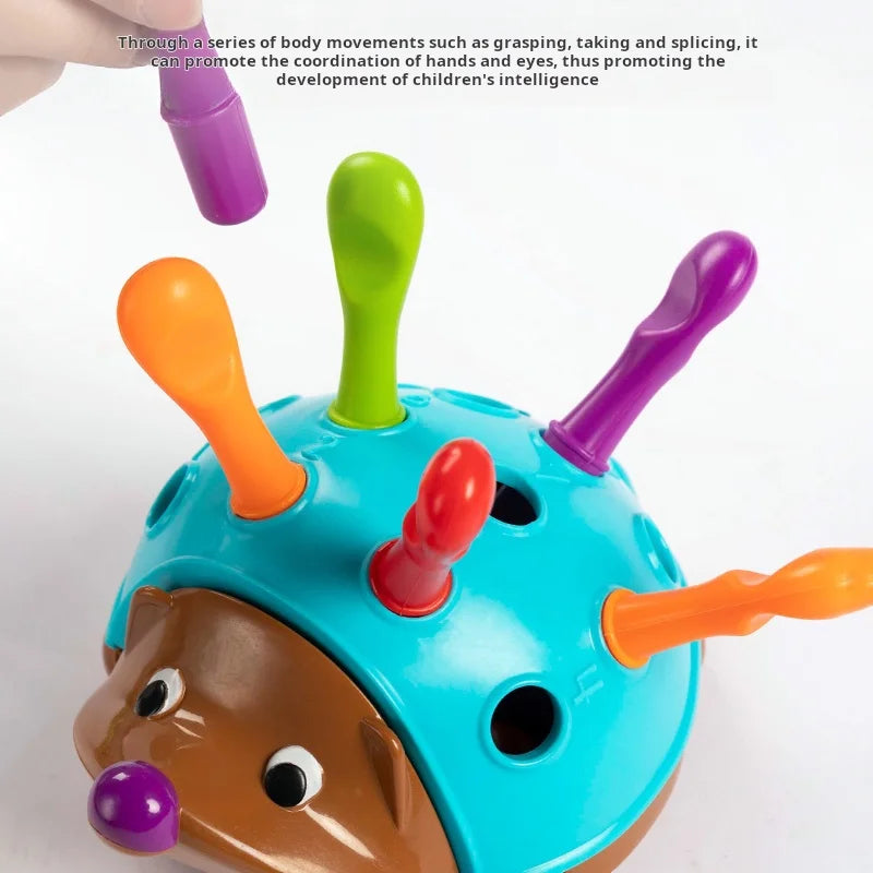 Fine Motor Skills Toy – Hedgehog Hand-Eye Coordination Learning Toy
