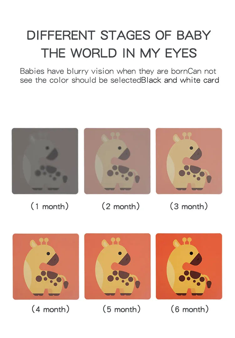 Baby High Contrast Flash Cards Visual Learning Cards