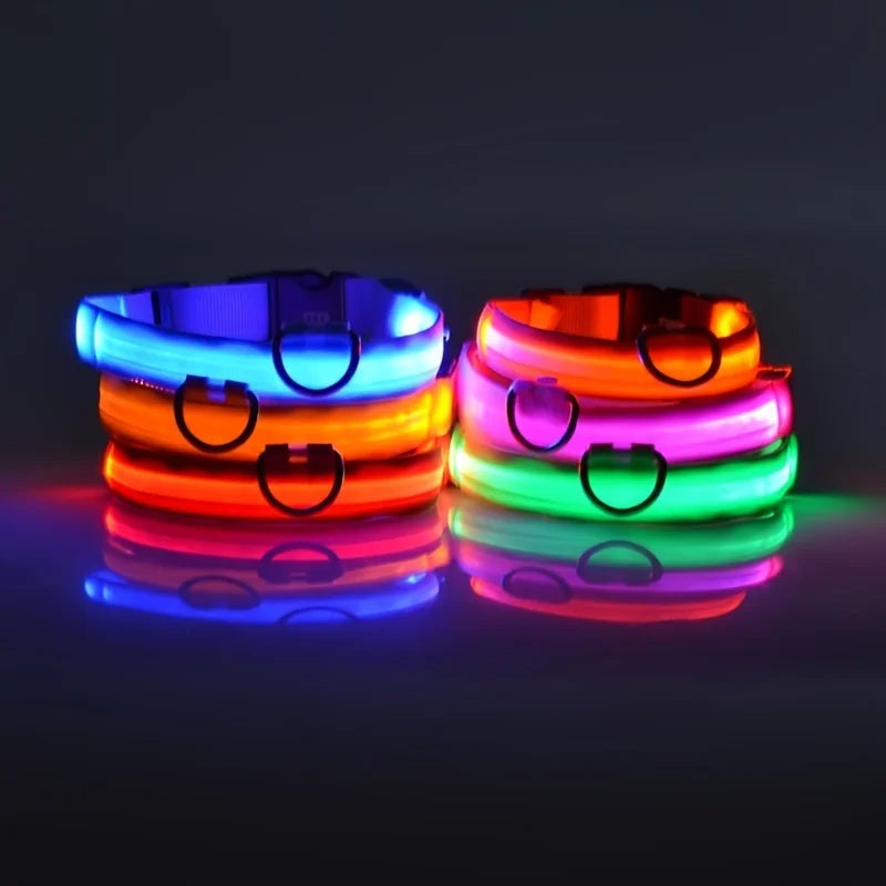 LED Dog Leash – Luminous Glow in the Dark Dog Collar