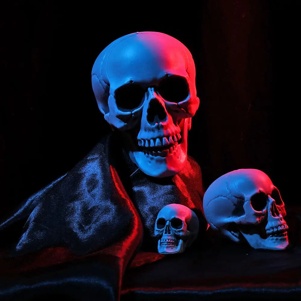 Halloween Skull Prop Skeleton Head Decoration for Party Decor