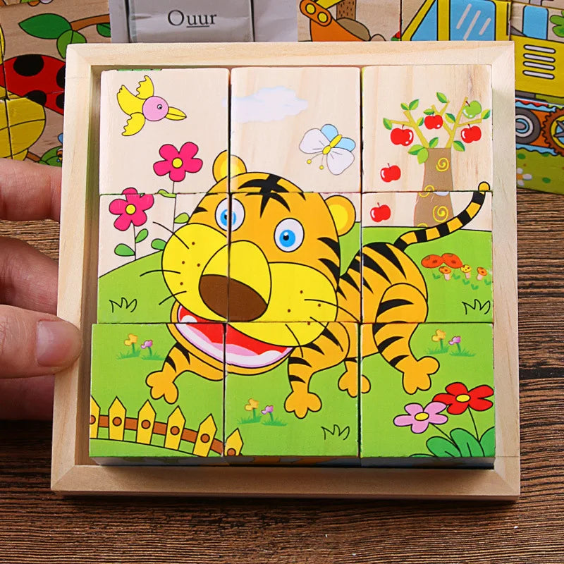 Wooden Puzzle Blocks, 6-Sided Cube Matching Game for Kids