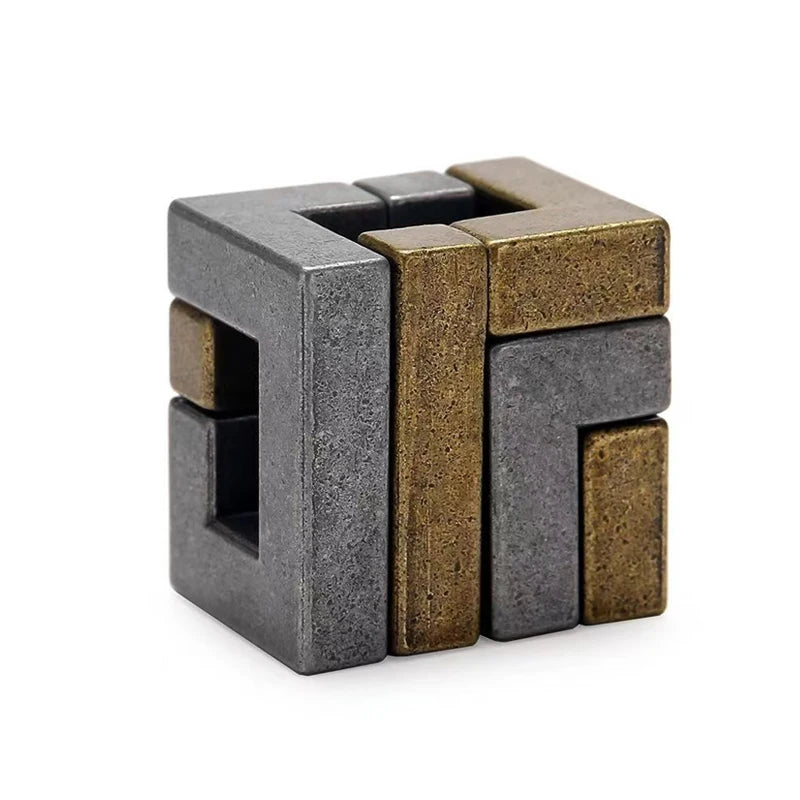 Metal Brain Teaser – 3D Interlocking IQ Logic Puzzle