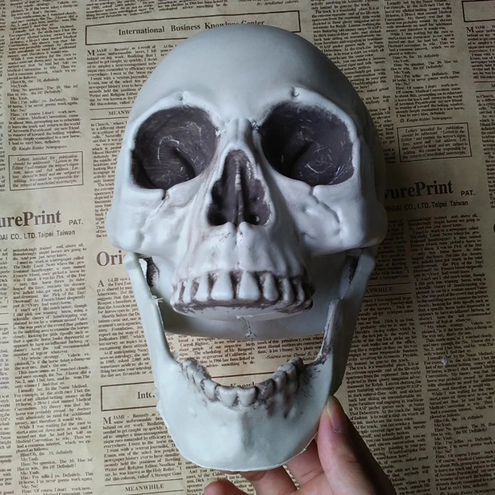 Halloween Skull Decoration – Plastic Skeleton Head Prop