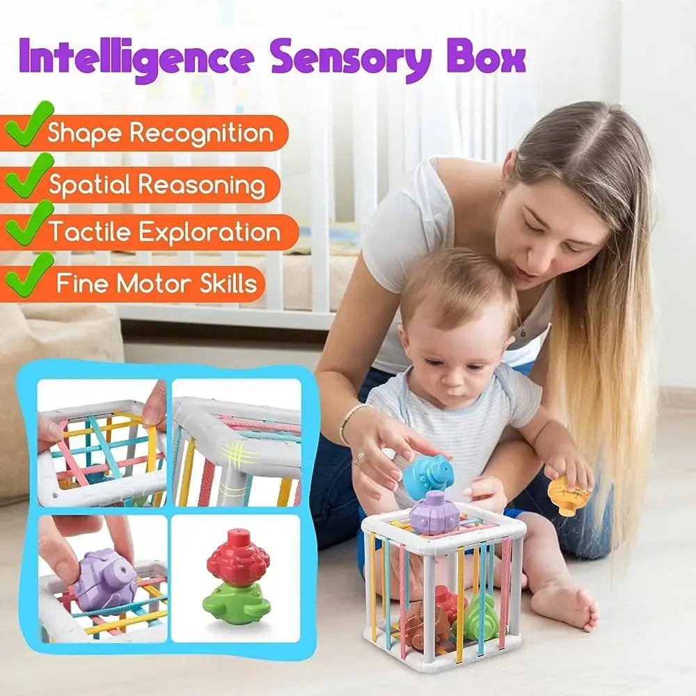 Shape Sorter Toy for Babies – Colorful Sensory Activity Cube