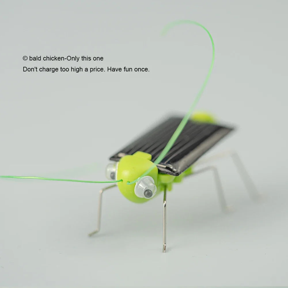 Solar Grasshopper Toy – Educational Moving Insect STEM Toy