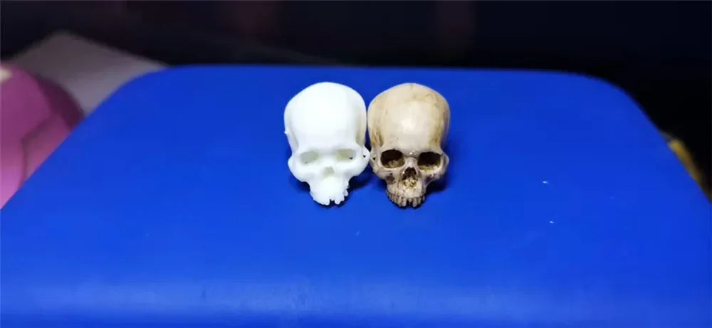 Miniature Skull – Tiny Halloween Decor Model