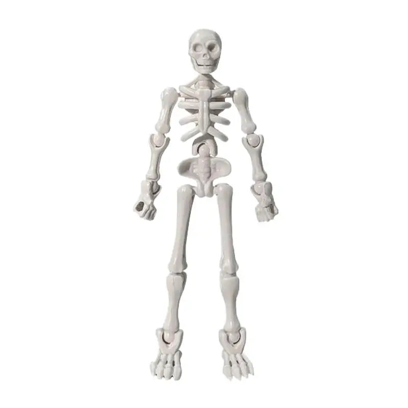 DIY Skeleton Kit – Posable Mini Skeleton Model