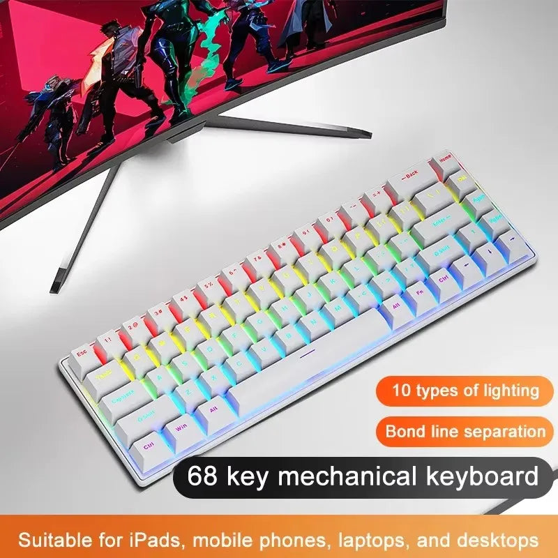 68 Key Mechanical Keyboard – RGB Wired Gaming & Office Keyboard