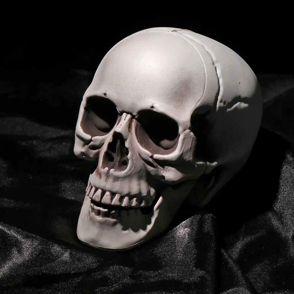 Halloween Skull Prop Skeleton Head Decoration for Party Decor