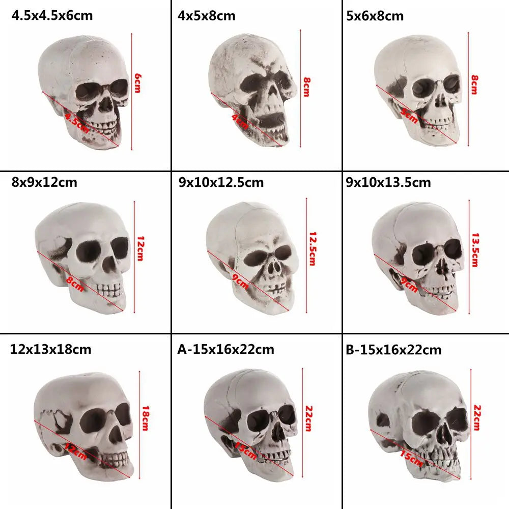 Halloween Skull Prop Skeleton Head Decoration for Party Decor