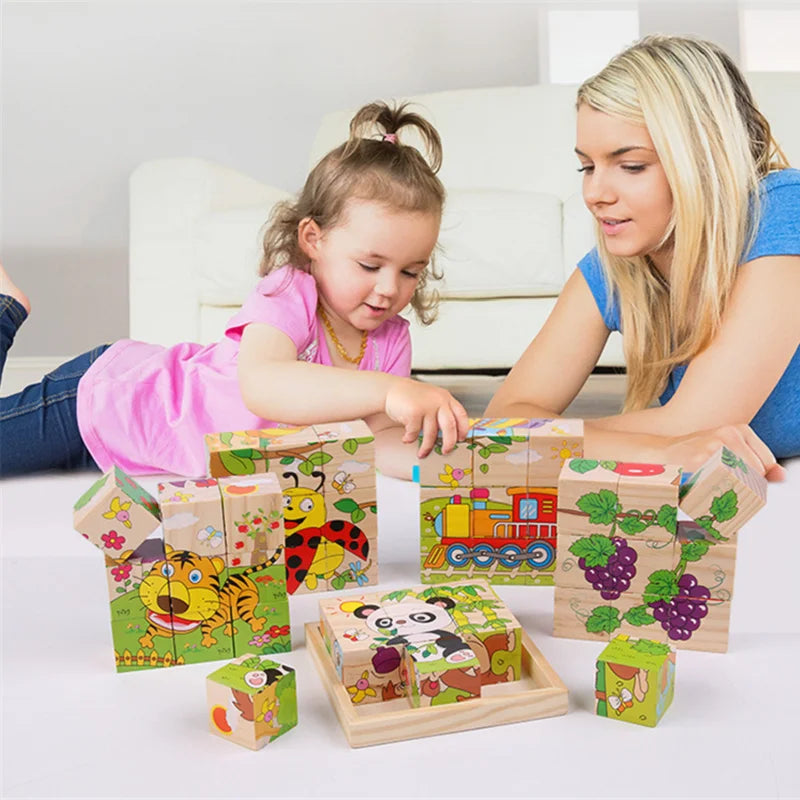 Wooden Puzzle Blocks, 6-Sided Cube Matching Game for Kids