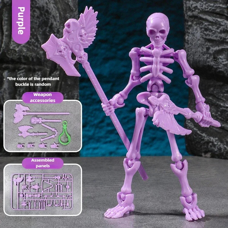 3D Skull Model – Articulated Skeleton Assembly Figure