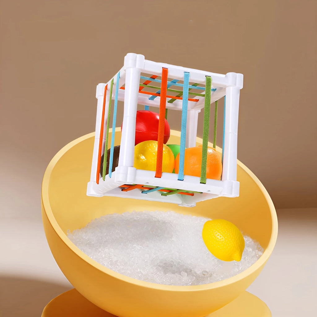 Color Recognition Toy