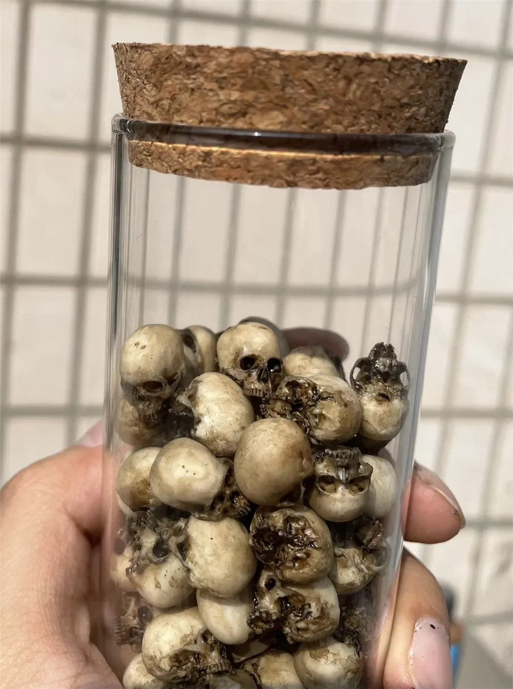 Miniature Skull – Tiny Halloween Decor Model