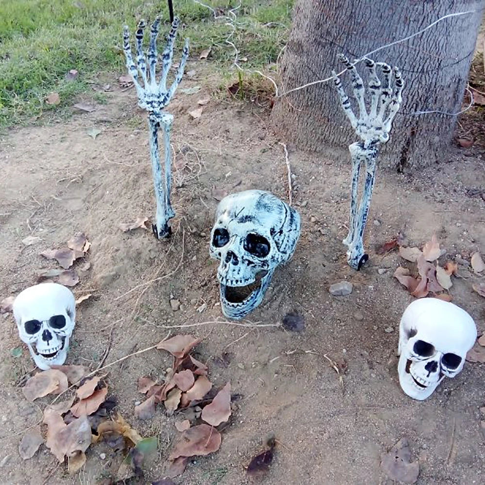 Halloween Skull Decoration – Plastic Skeleton Head Prop